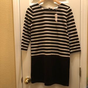 Loft striped dress